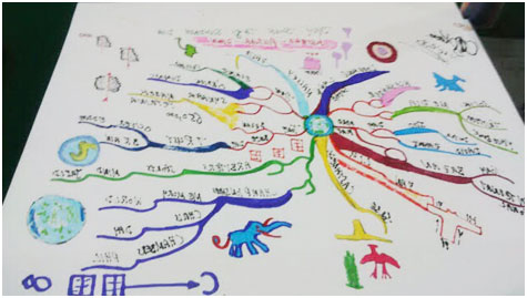 Bestselling 3 Tony Buzan Books Use Your Head/Memory & Mind Maps Performance 